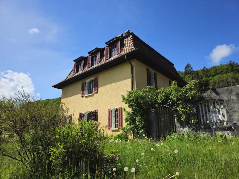 Maison de maître du XVIIIe siècle à rénover (2)