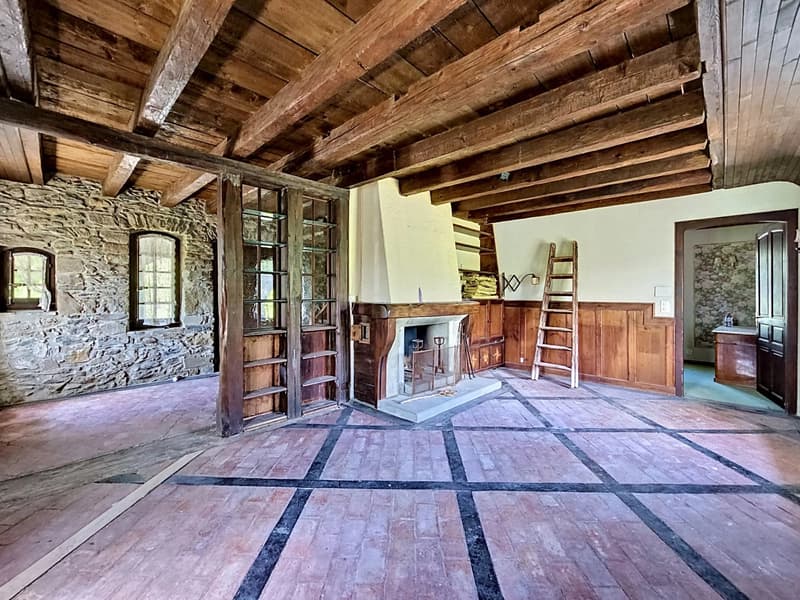 Maison de maître du XVIIIe siècle à rénover (8)