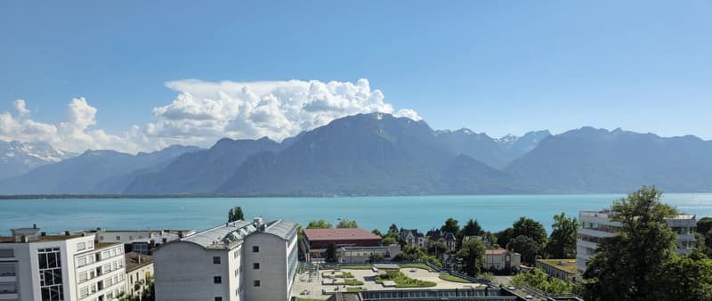 Superbe attique de 4 pièces avec grande terrasse et vue panoramique (2)
