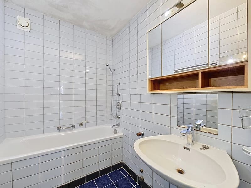 Appartement de 4 pièces à rénover proche du lac (10)