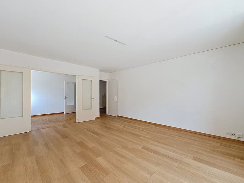 Appartement de 4 pièces à rénover proche du lac (3)