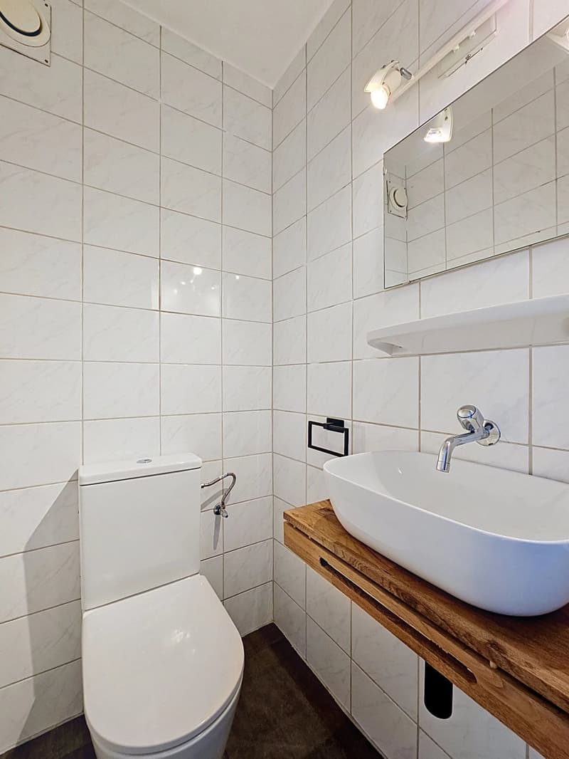 Appartement de 4 pièces à rénover proche du lac (11)