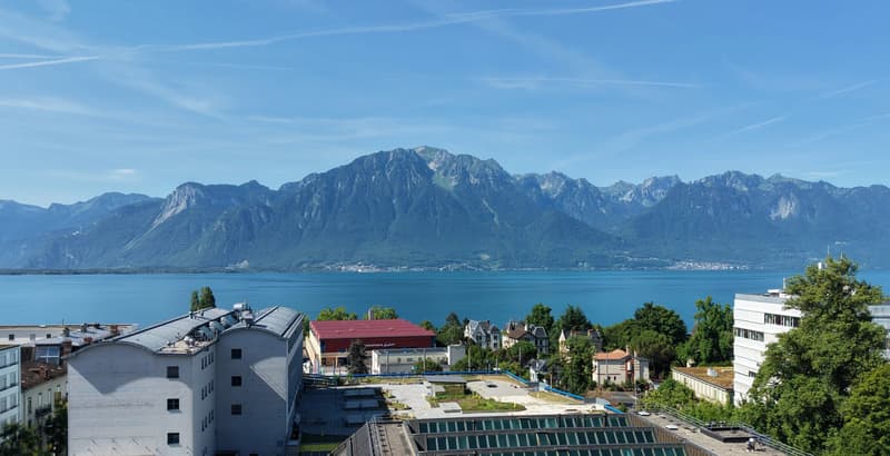 Superbe attique de 4 pièces avec grande terrasse et vue panoramique (2)