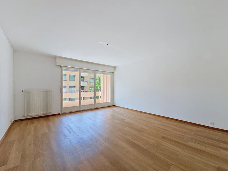 Appartement de 4 pièces à rénover proche du lac (4)