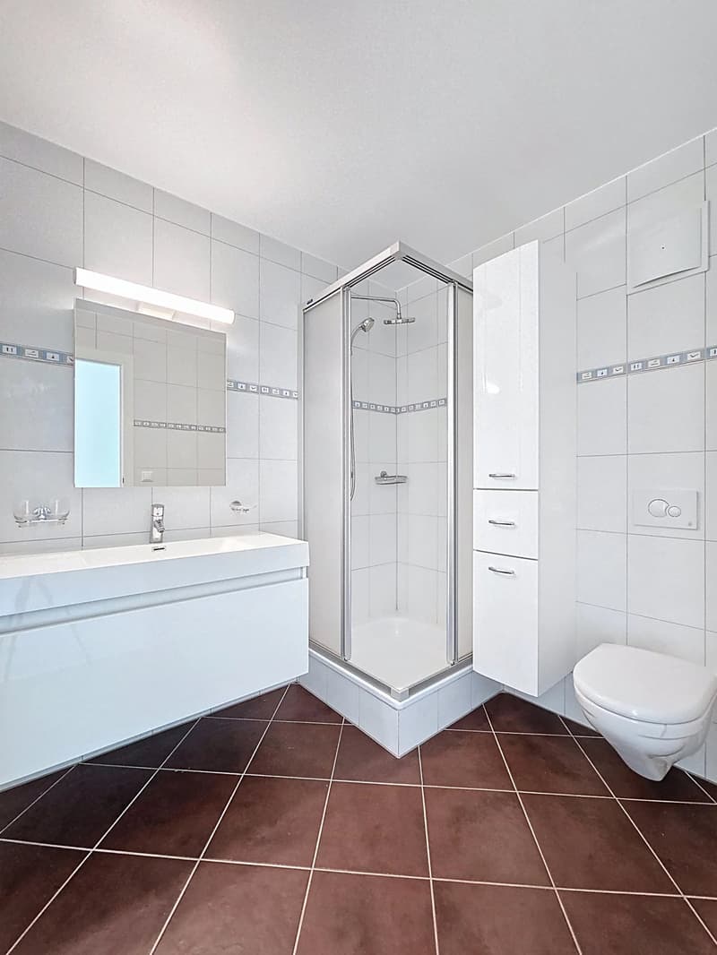 Très bel appartement au centre de Roche (11)