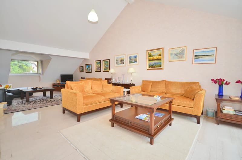 Appartement au dernier étage, au bord du lac (4)