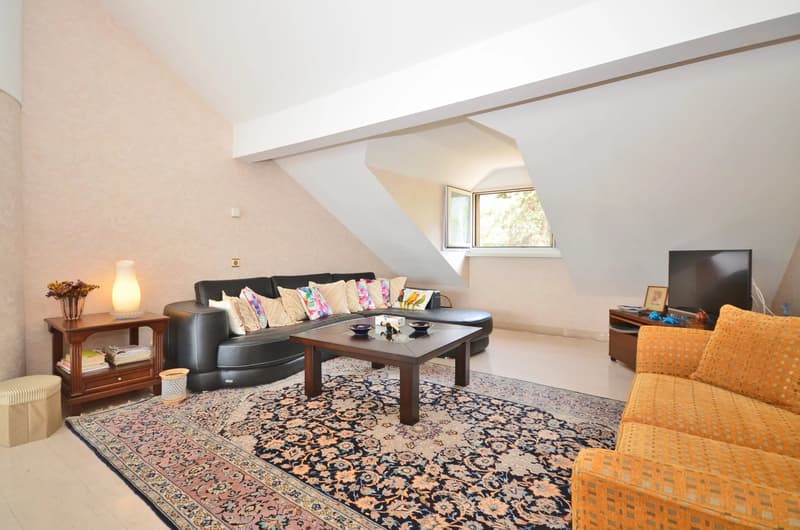Appartement au dernier étage, au bord du lac (5)