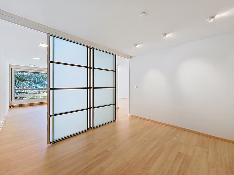 Superbe appartement sur les quais de Montreux (11)
