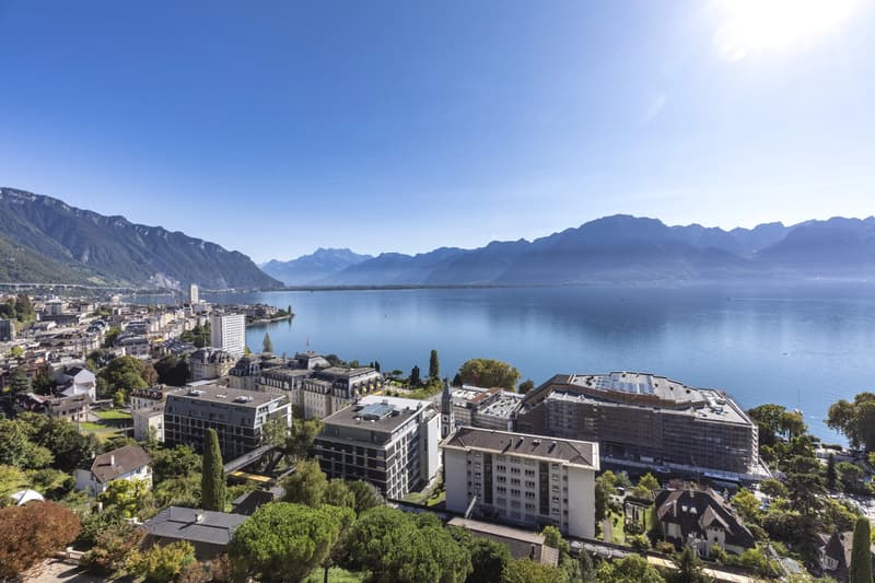 Penthouse d'exception à Montreux (1)