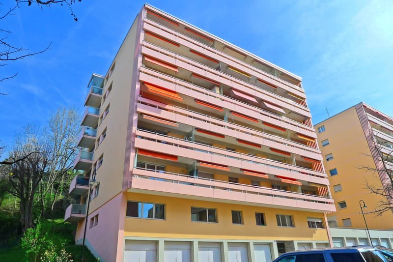 Appartement de 4 pièces à rénover proche du lac (2)