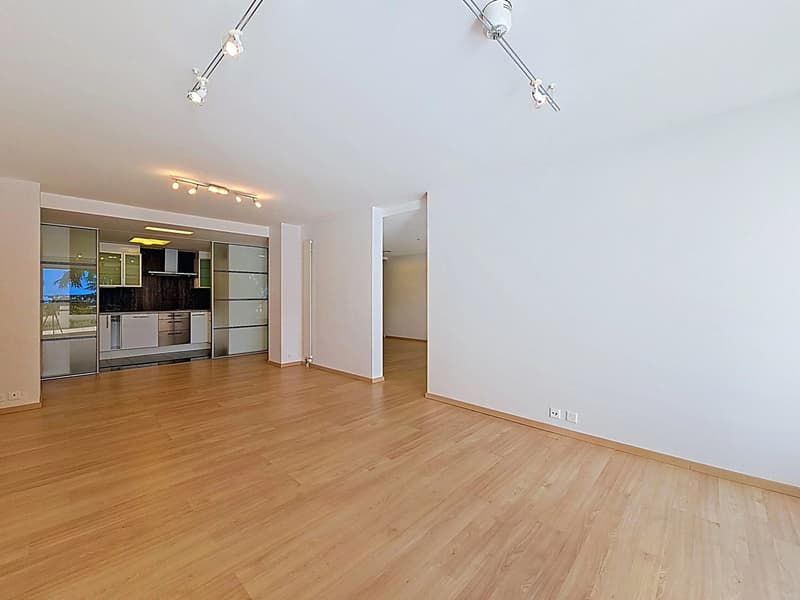 Superbe appartement sur les quais de Montreux (5)