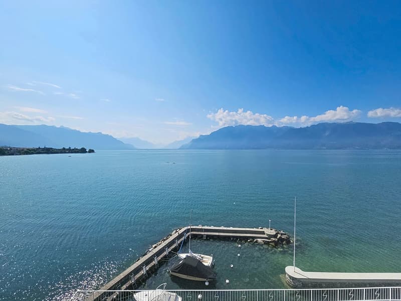 Splendide appartement rénové avec place d'amarrage dans port privé (2)