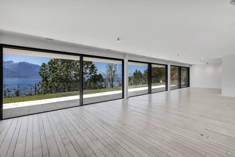 Superbe duplex de 5,5 pièces surplombant le bassin lémanique (5)