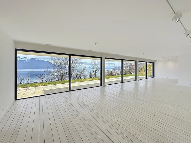 Superbe duplex de 5,5 pièces surplombant le bassin lémanique (6)