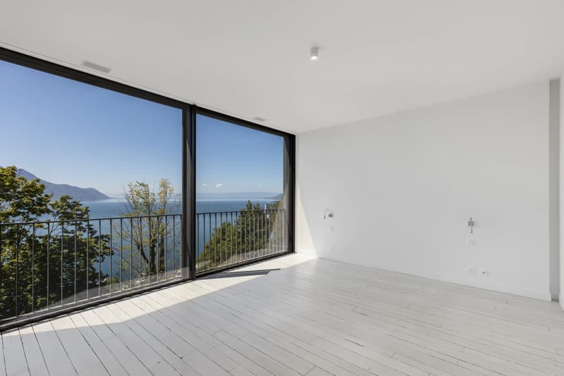 Superbe duplex de 5,5 pièces surplombant le bassin lémanique (13)