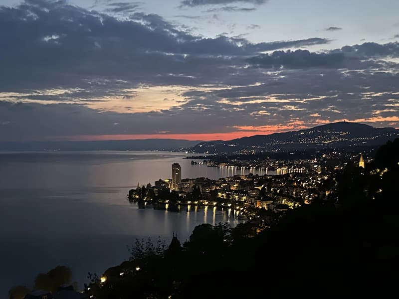 Superbe duplex de 5,5 pièces surplombant le bassin lémanique (2)