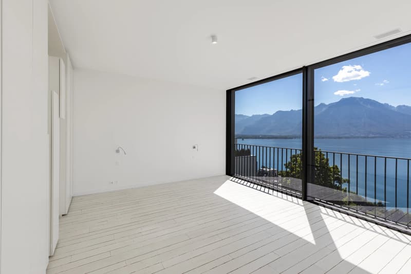 Superbe duplex de 5,5 pièces surplombant le bassin lémanique (12)
