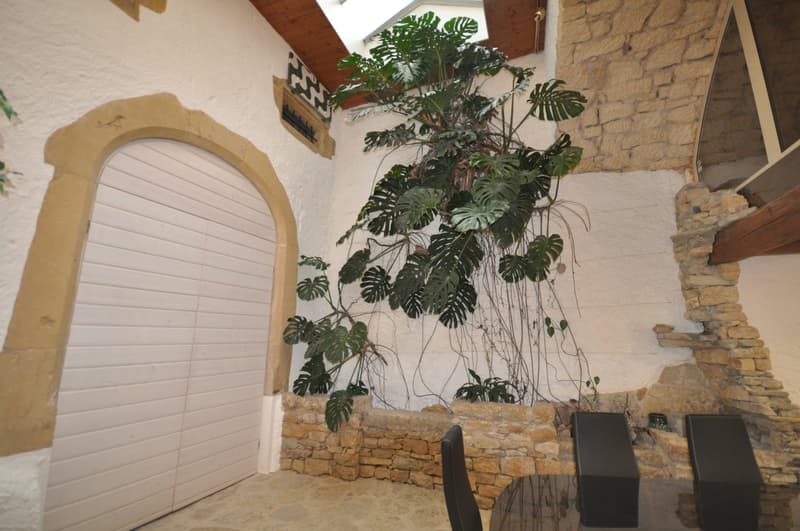Bureaux au Château de Peseux (3)