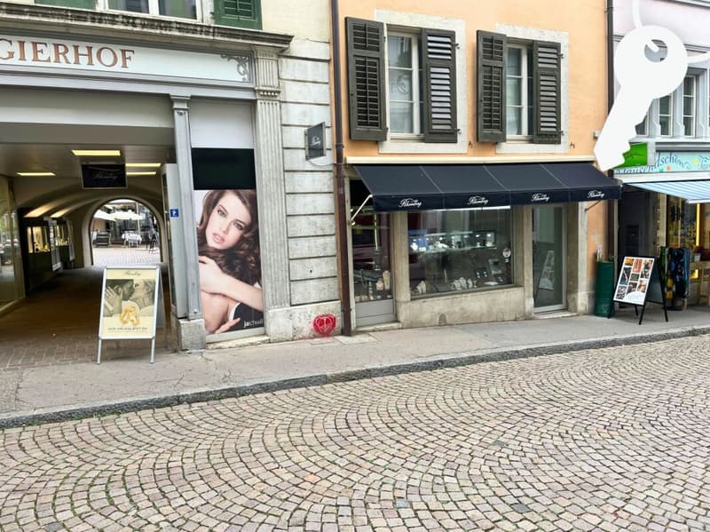 Ladenfläche im Vigierhof (1)