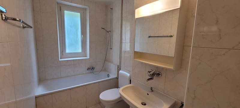 bathroom with bathtub, shower, toilet, sink