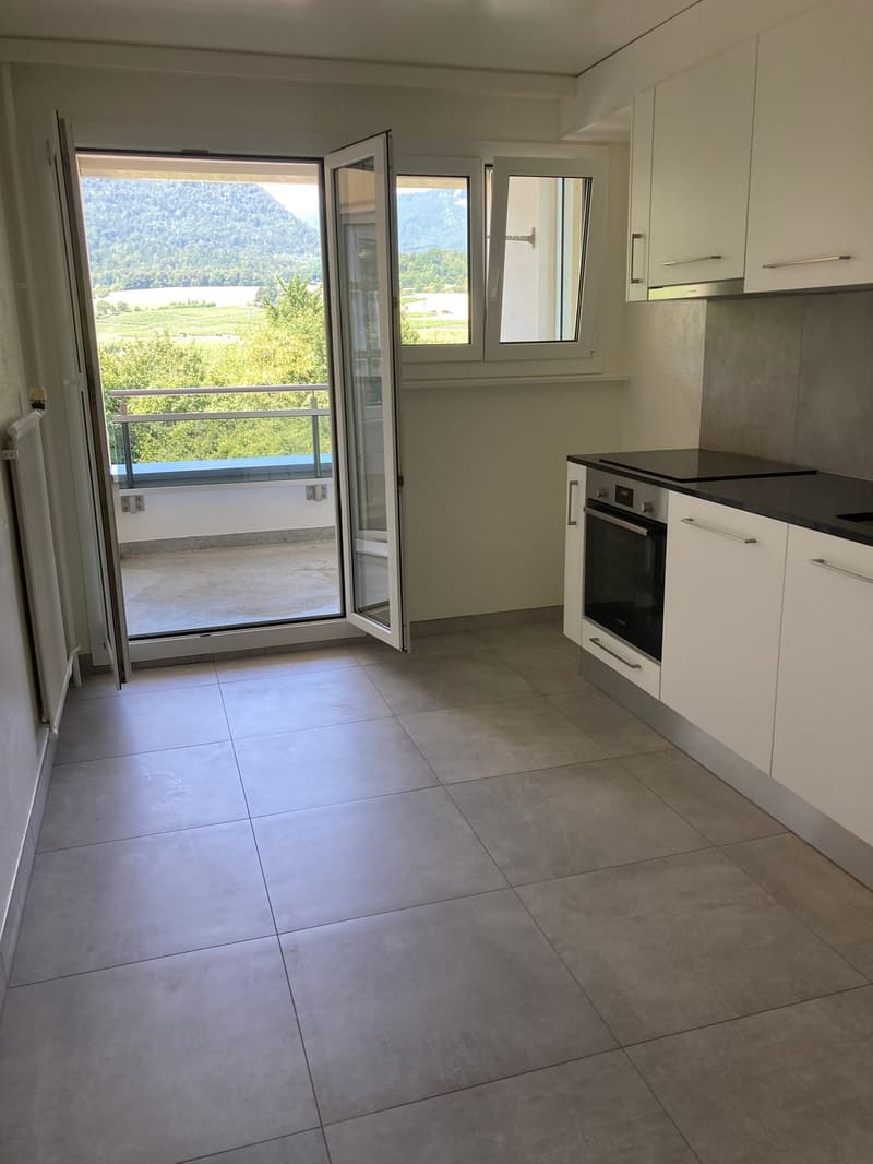 4.5 avec vue dégagée sur les montagnes (2)