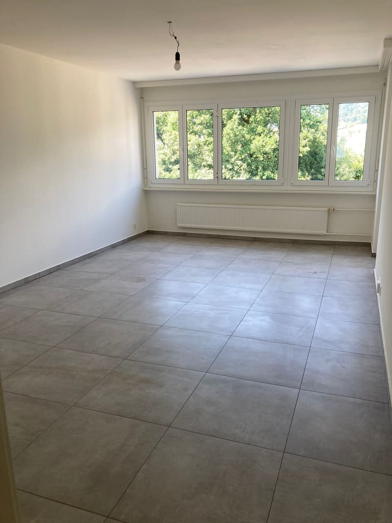 4.5 avec vue dégagée sur les montagnes (4)