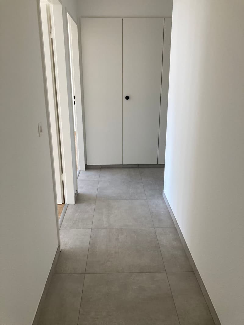 4.5 avec vue dégagée sur les montagnes (5)