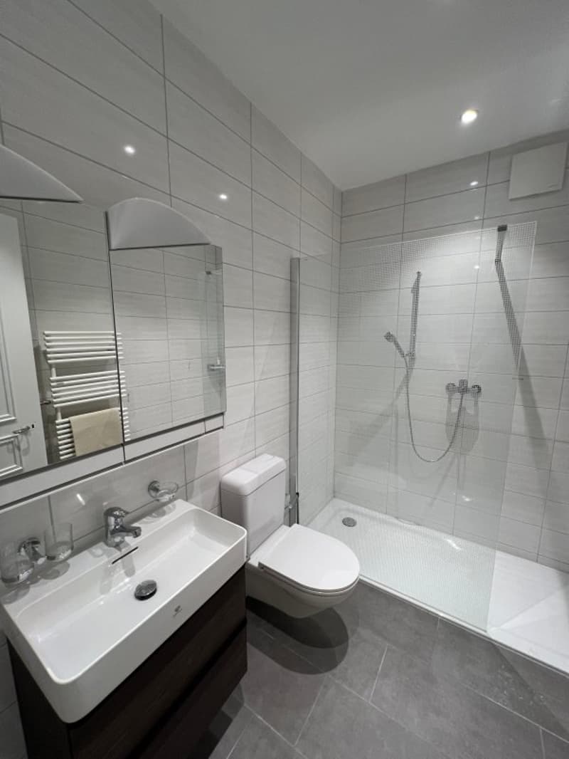 00231 - Appartement 2 pièces - Rue de L'Evole 19 - NEUCHATEL (6)