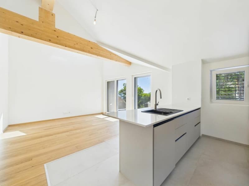 Appartement neuf de 4.5 pièces (2)