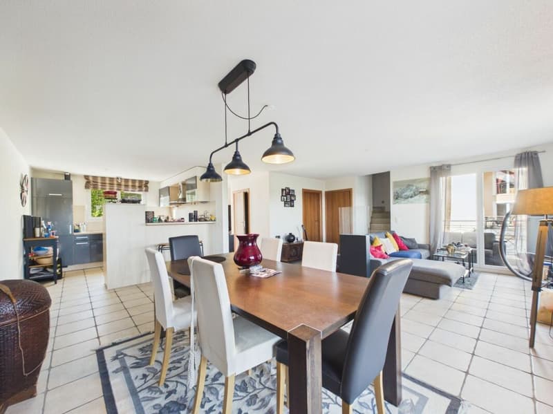 Villa mitoyenne de 5.5 pièces (2)