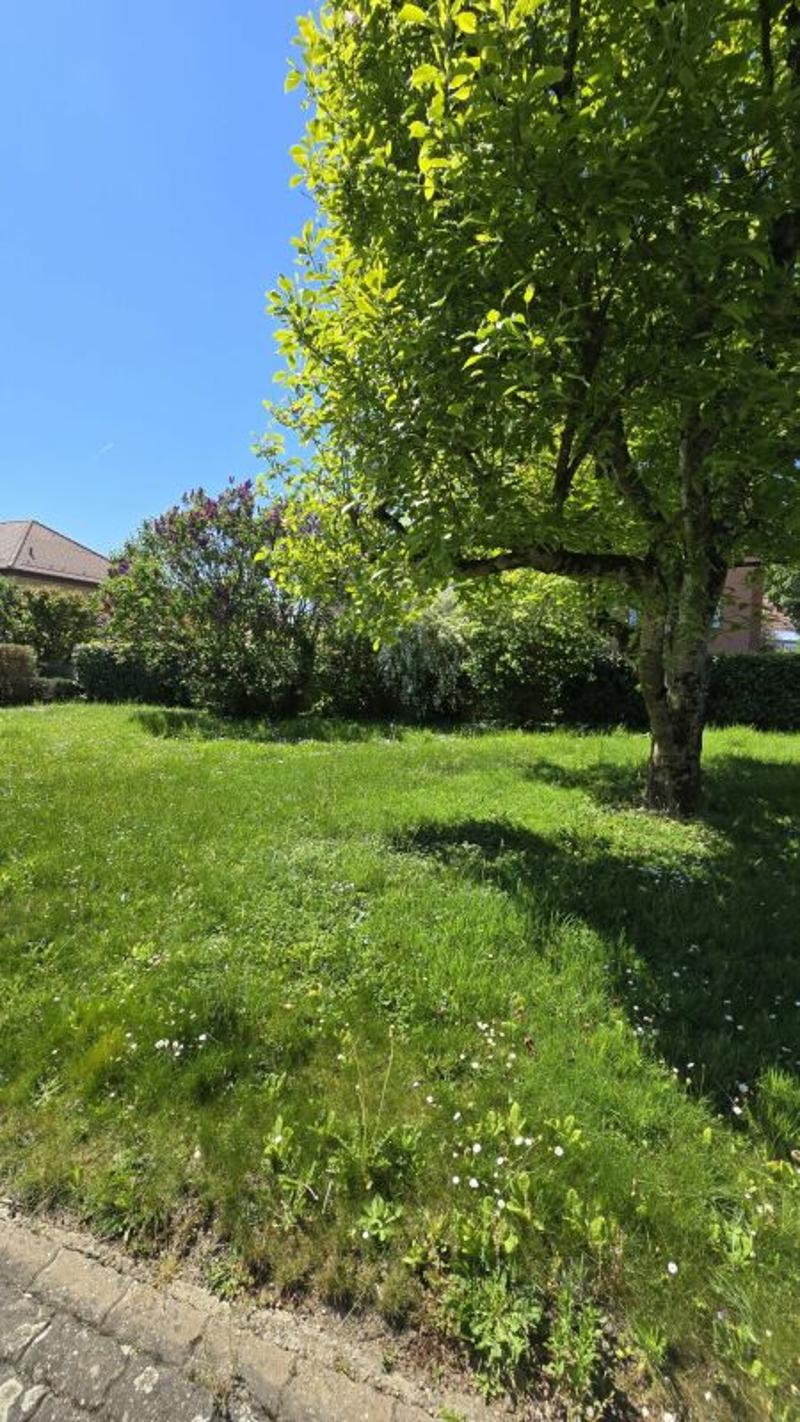 Appartement de 3 pièces à Yverdon-les-Bains (2)