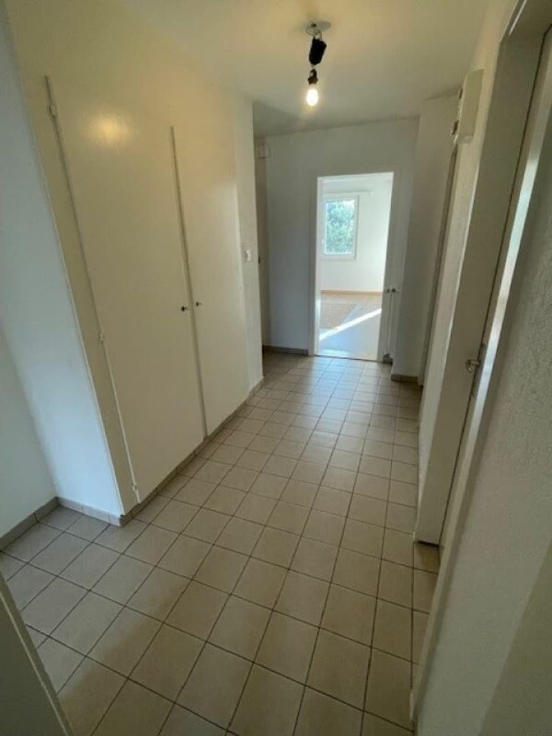 Appartement de 3 pièces (3)