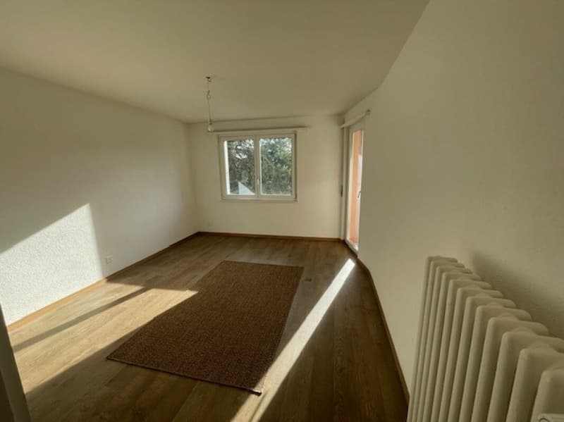 Appartement de 3 pièces (4)