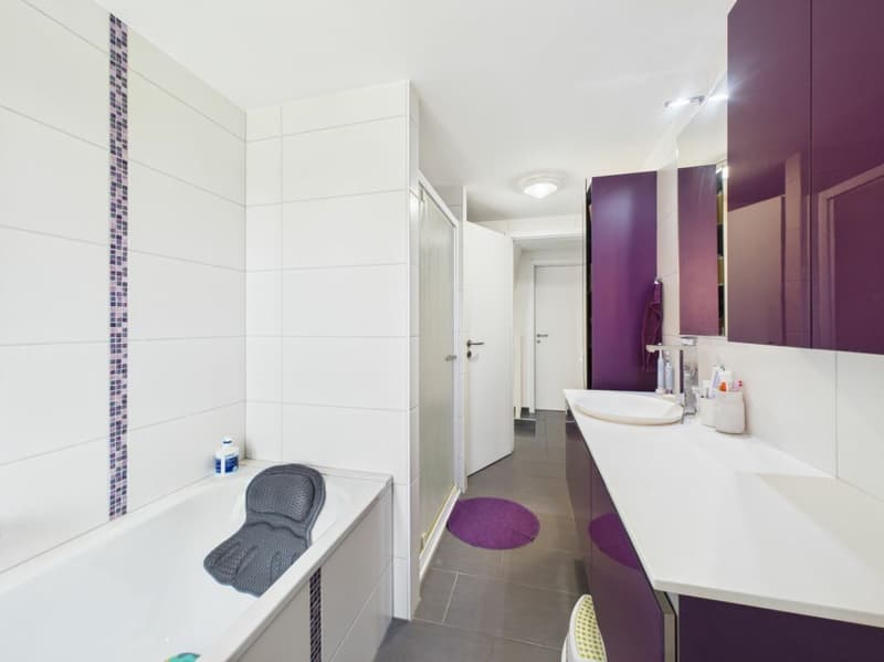 Maison individuelle rénovée (7)