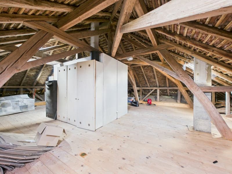 Maison individuelle rénovée (8)