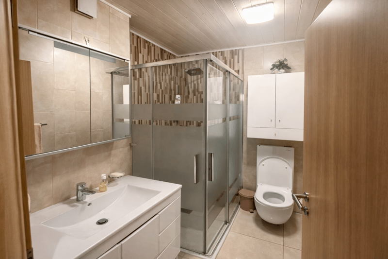 Local commercial et appartement de 2.5 pces (10)