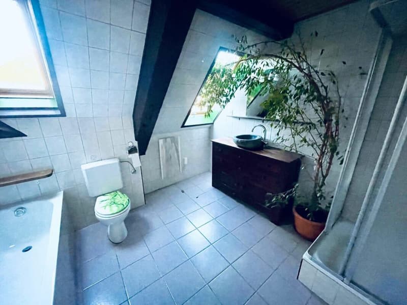 Appartement duplex de 4,5 pièces (10)