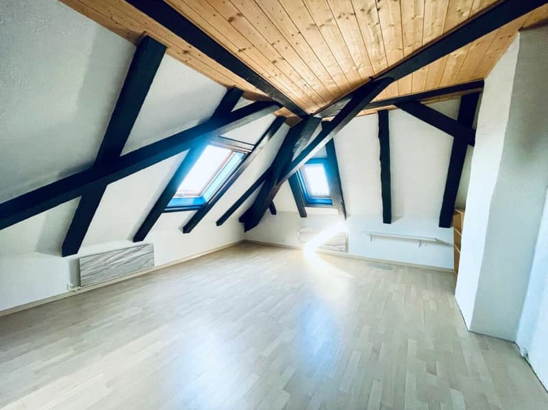 Appartement duplex de 4,5 pièces (11)