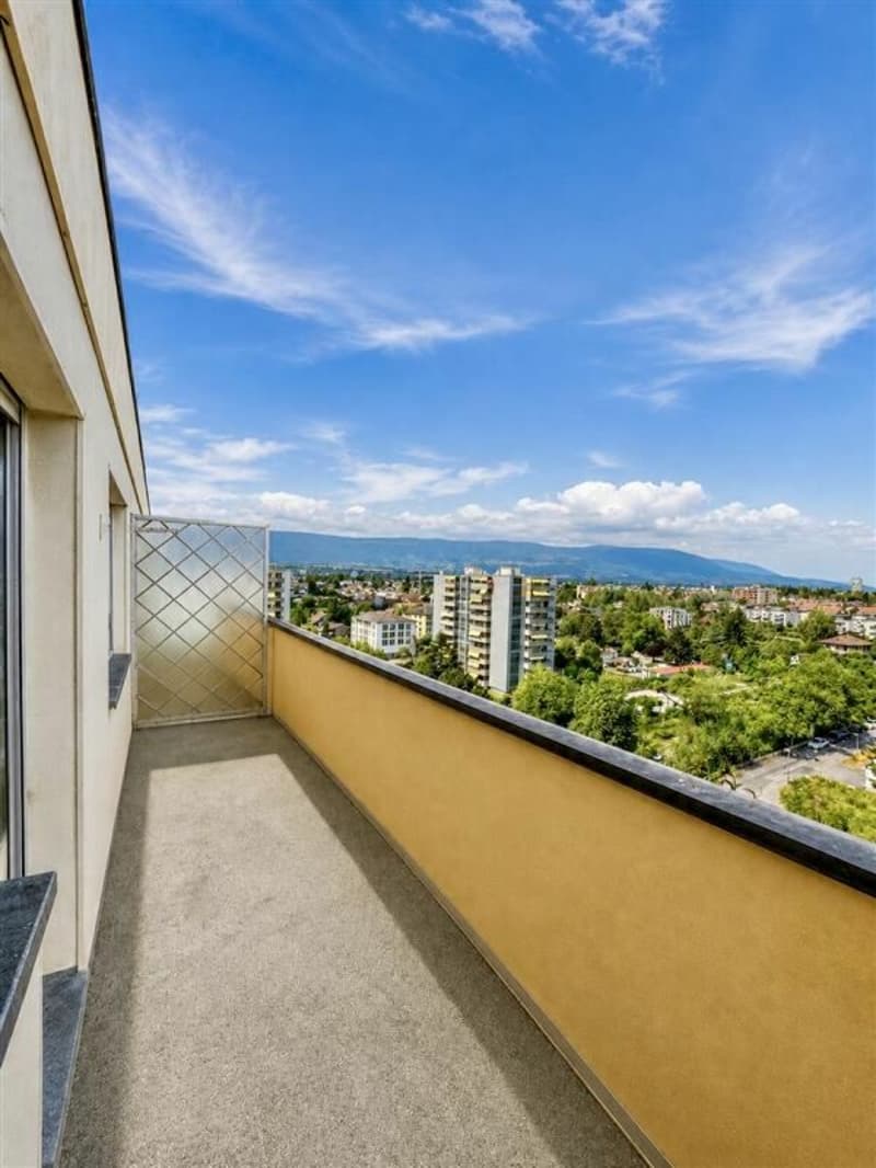 Appartement de 4.5 pièces au dernier étage (7)