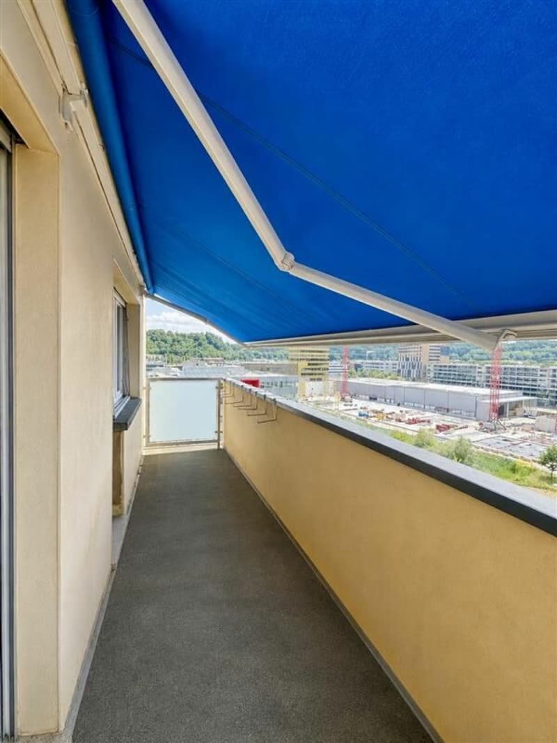 Appartement de 4.5 pièces au dernier étage (12)