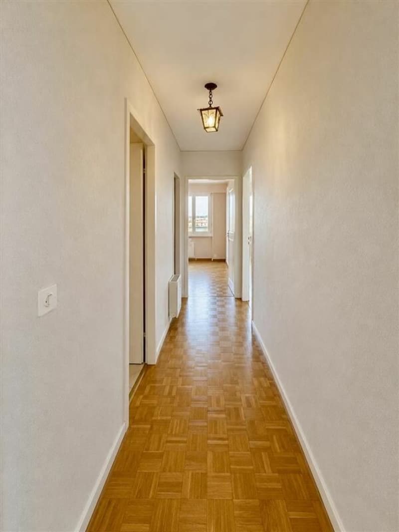 Appartement de 4.5 pièces au dernier étage (5)