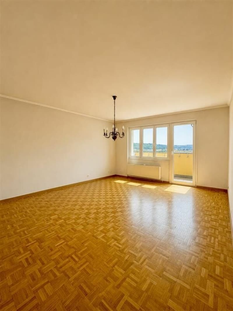 Appartement de 4.5 pièces au dernier étage (2)