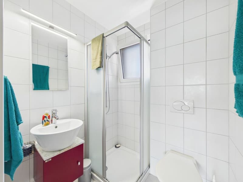 Appartement de 4.5 pièces en duplex (10)