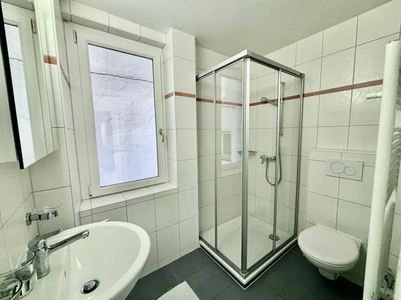 Appartement de 3.5 pièces (4)