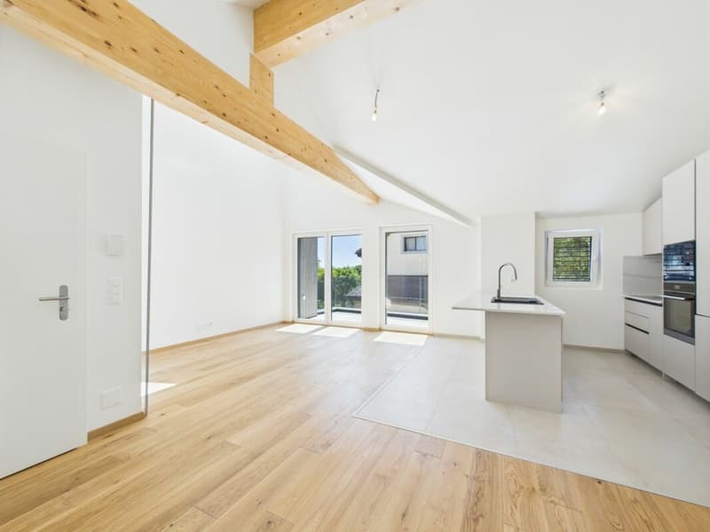 Dernier appartement disponible ! (3)