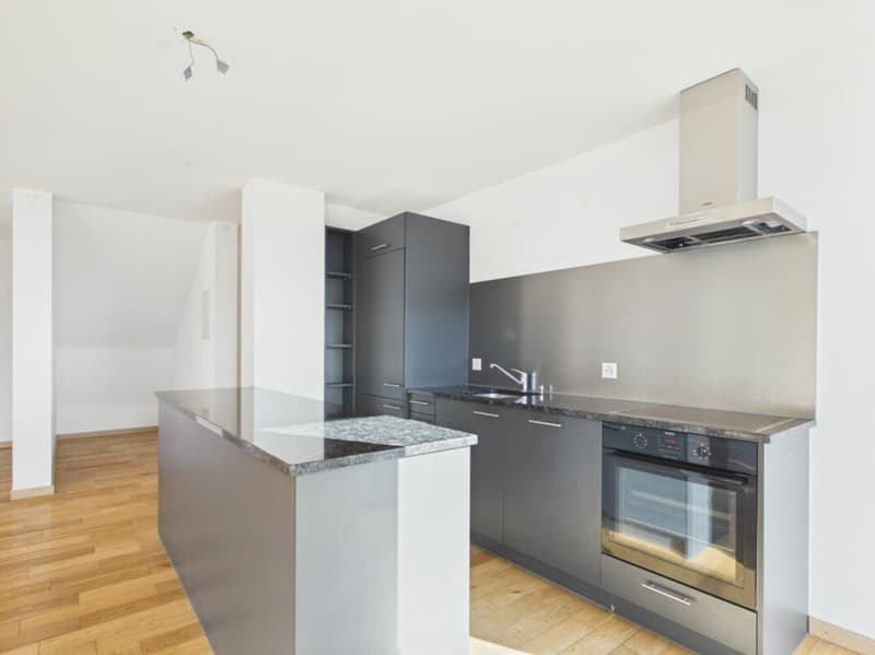 Appartement 4.5 pces (3)