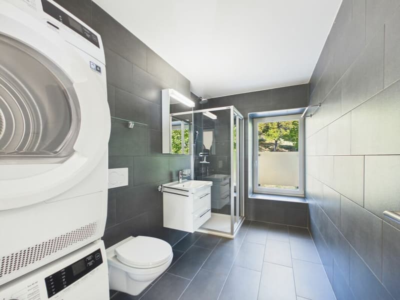 Appartement 4.5 pces (8)