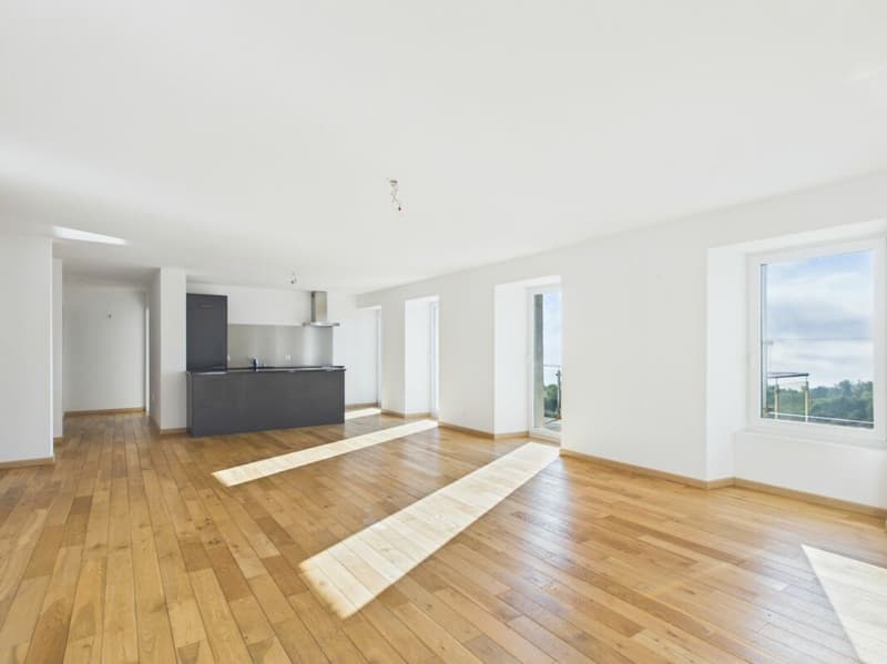 Appartement 4.5 pces (2)