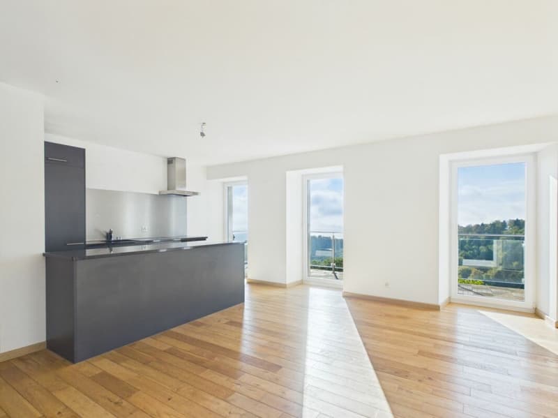 Appartement 4.5 pces (1)