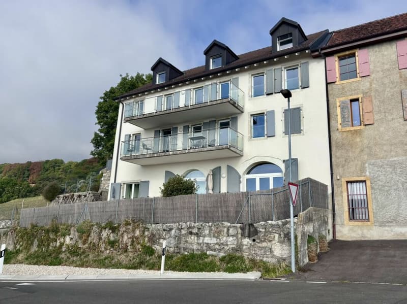 Appartement 4.5 pces (10)